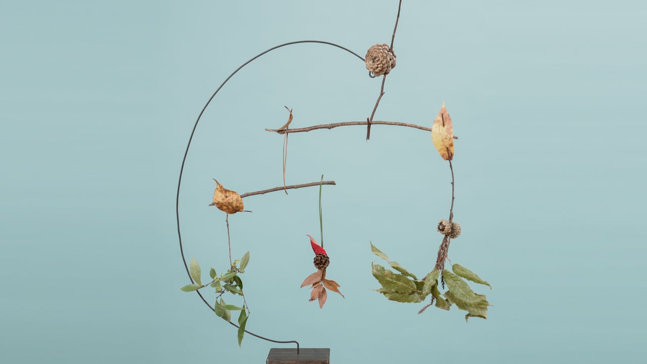 あつめてつなげよう!親子でたのしむ自然のモビールづくり