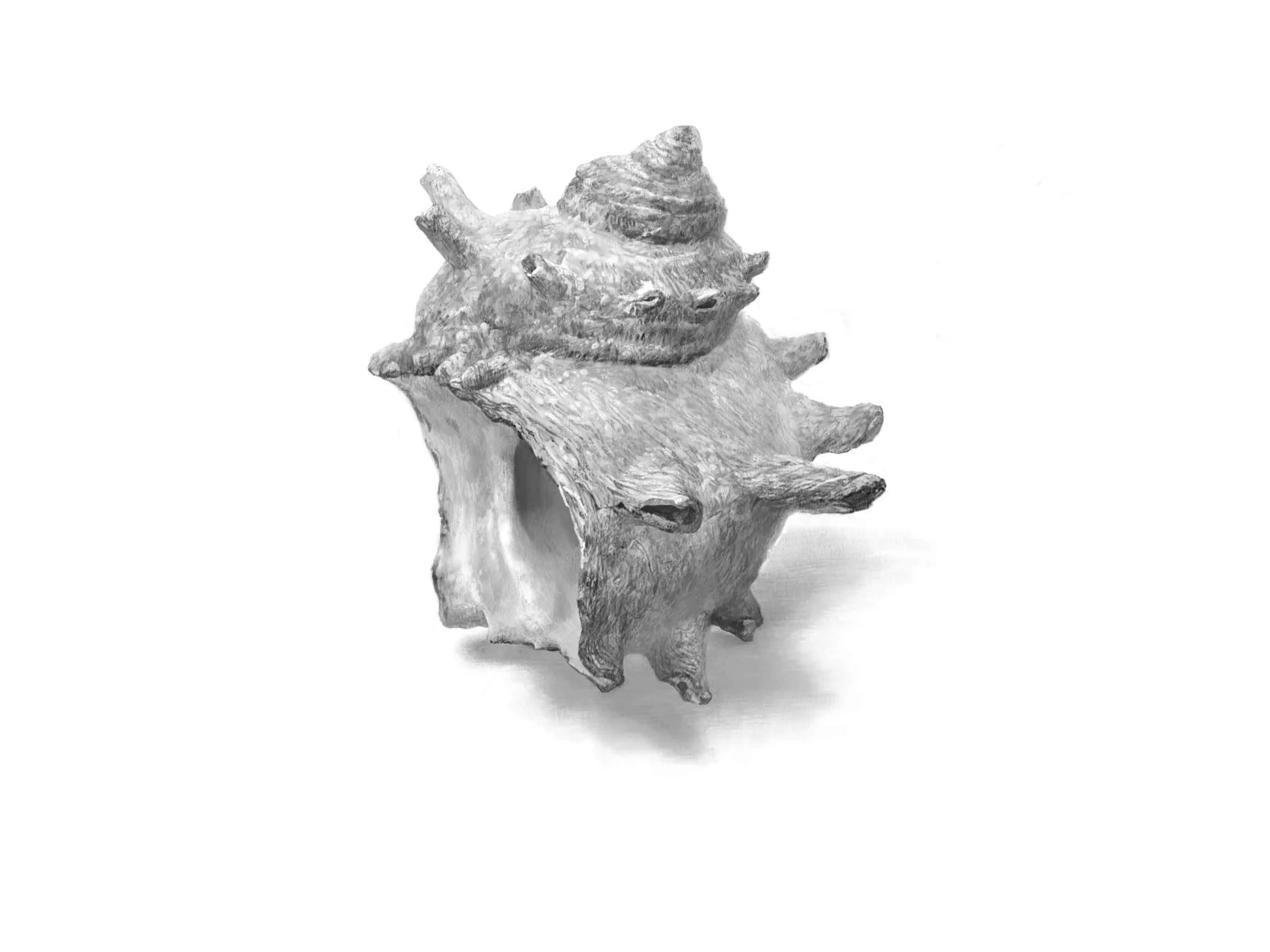 作品