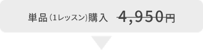 単品（1レッスン)購入3,850円